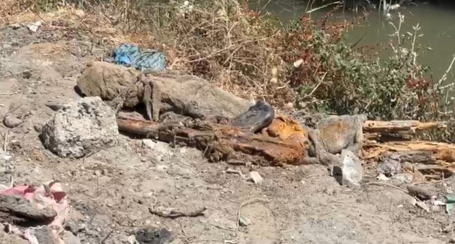 FOTO/ Zbulohen arsenal arm&euml;sh t&euml; groposura n&euml; &ldquo;Pyllin e