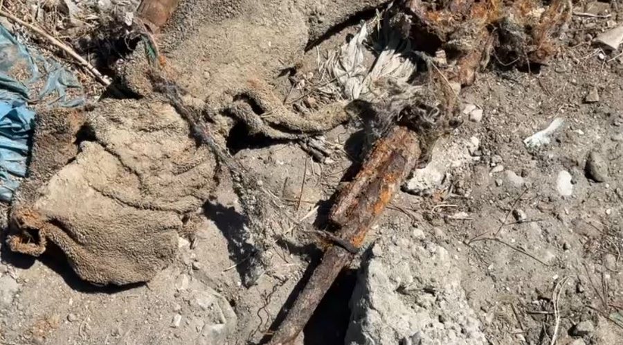 FOTO/ Zbulohen arsenal armësh të groposura në “Pyllin e
