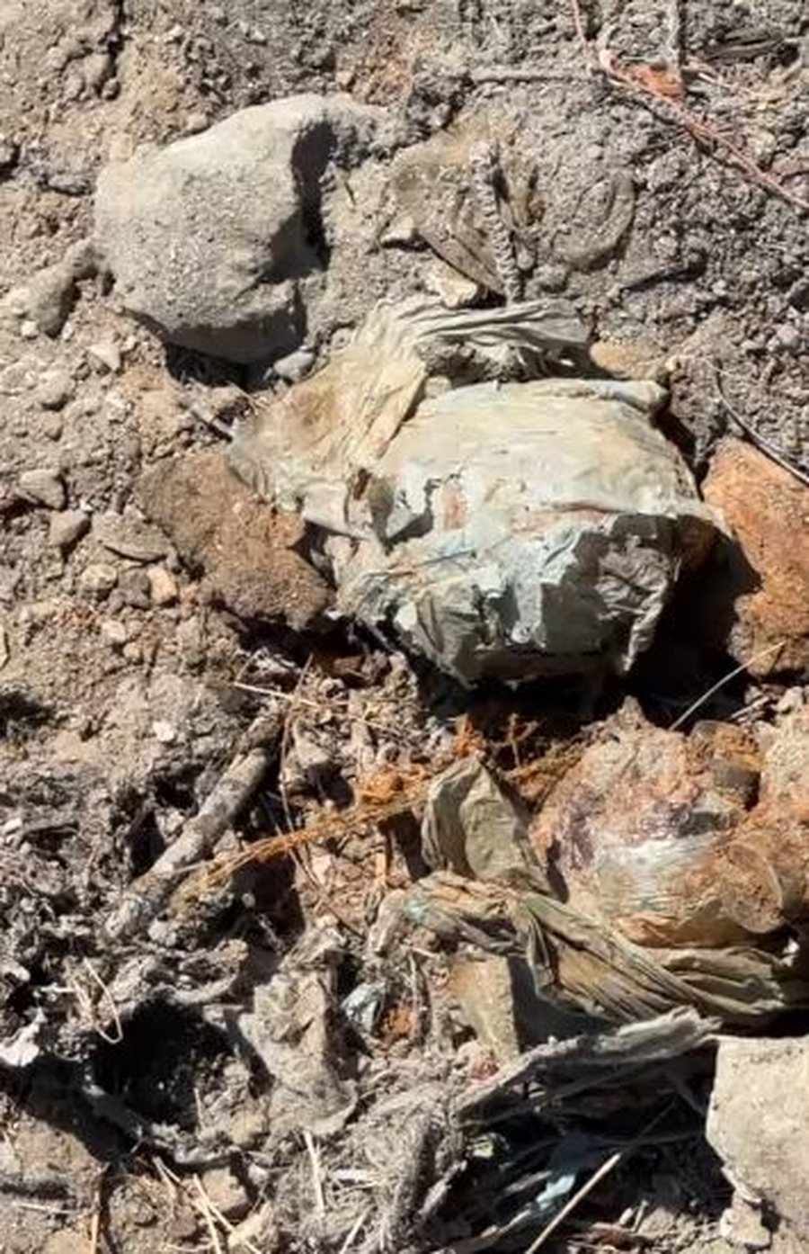 FOTO/ Zbulohen arsenal arm&euml;sh t&euml; groposura n&euml; &ldquo;Pyllin e