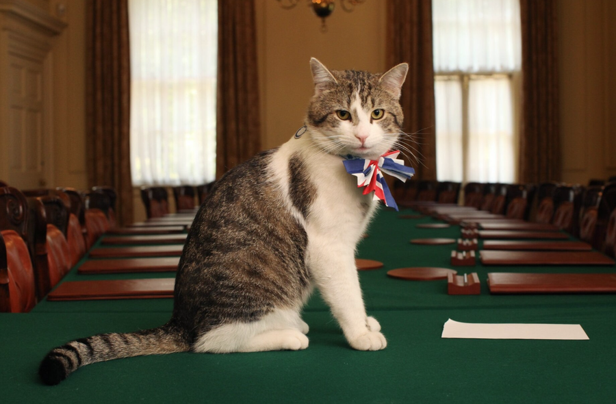 Drejtuesit vijnë e ikin, por jo Larry! Macja e Downing Street që