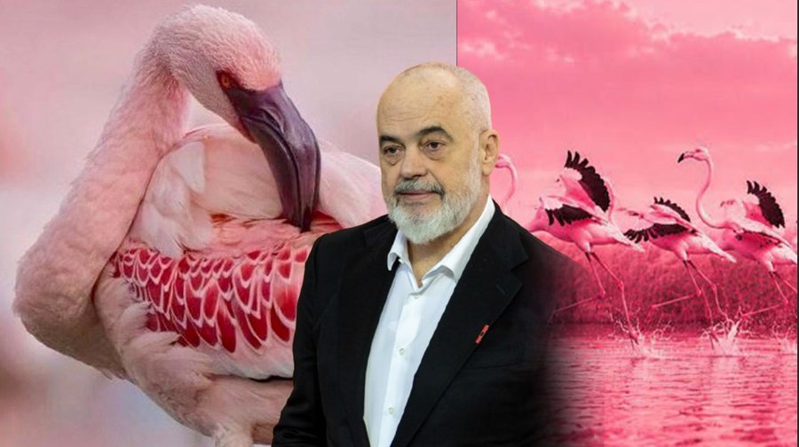 Rama &ldquo;i bashkohet&rdquo; protestuesve, vendos si foto profili n&euml;