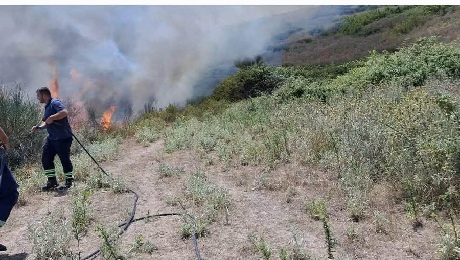 FOTO/ Neutralizohet zjarri pran&euml; Parkut Arkeologjik Bylis, Gonxhja