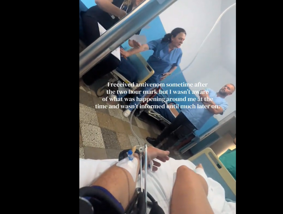 VIDEO/ U pickua nga nep&euml;rka n&euml; nj&euml; shteg malor, turistja nga