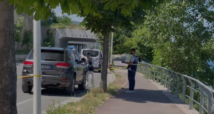 Plagosje me arm&euml; zjarri  p&euml;r hakmarrje n&euml; Pogradec, pranga