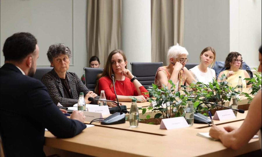 Eurodeputetët erdhën në Shqipëri për protestë,