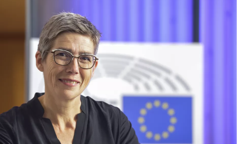 FOTO/ Eurodeputetja gjermane nxjerr mesazhet e Erion Braçes me