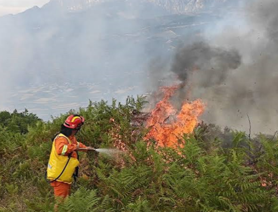 Zjarret masive vënë në rrezik banorët në disa fshatra