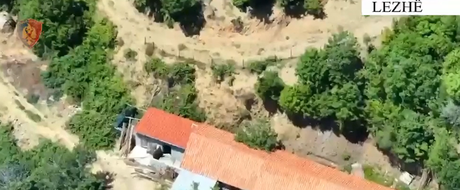 VIDEO/ Lezhë, kthyen banesën në parcelë për kultivim