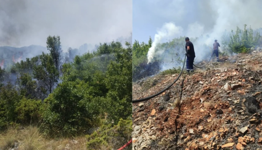 Zjarri masiv në Qafë Thanë, dyshohet se flakët nisën