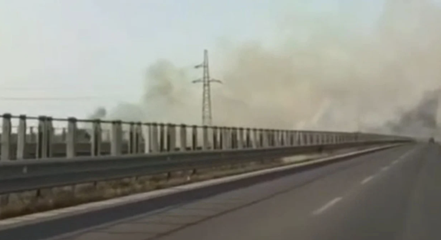 VIDEO/ Zjarri përfshin dy anët e autostradës Fier-Vlorë,