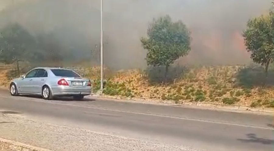 VIDEO/ Zjarri përfshin sipërfaqe toke në Elbasan! Flakët