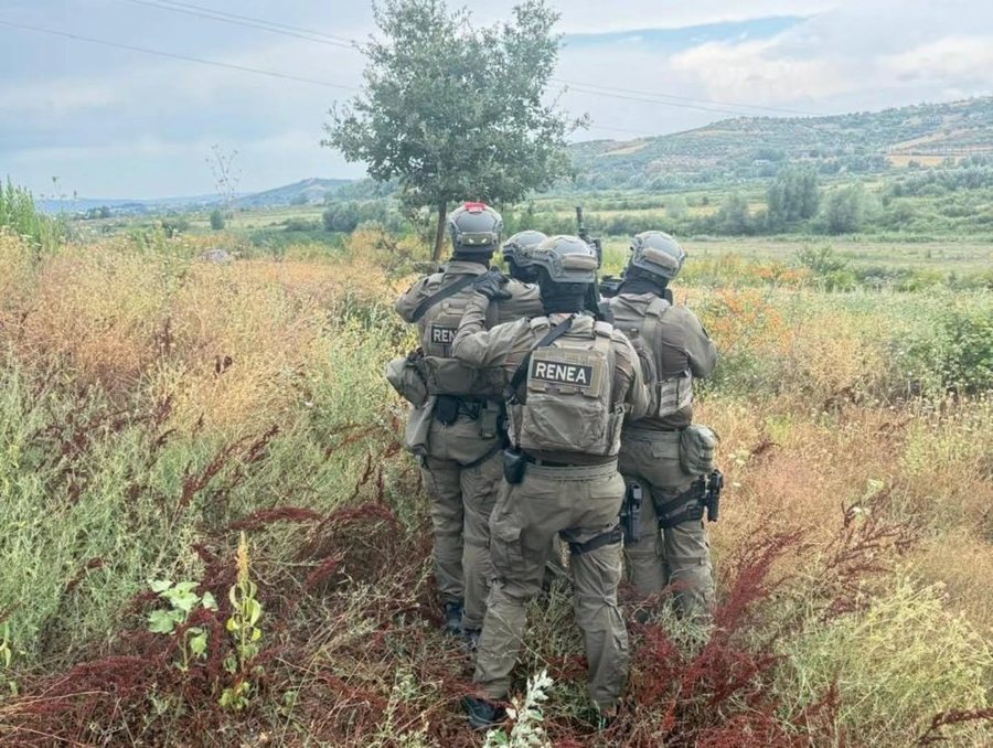 Vrau ish-vjehrrin me arm&euml; gjahu dhe mori peng p&euml;r pak or&euml;