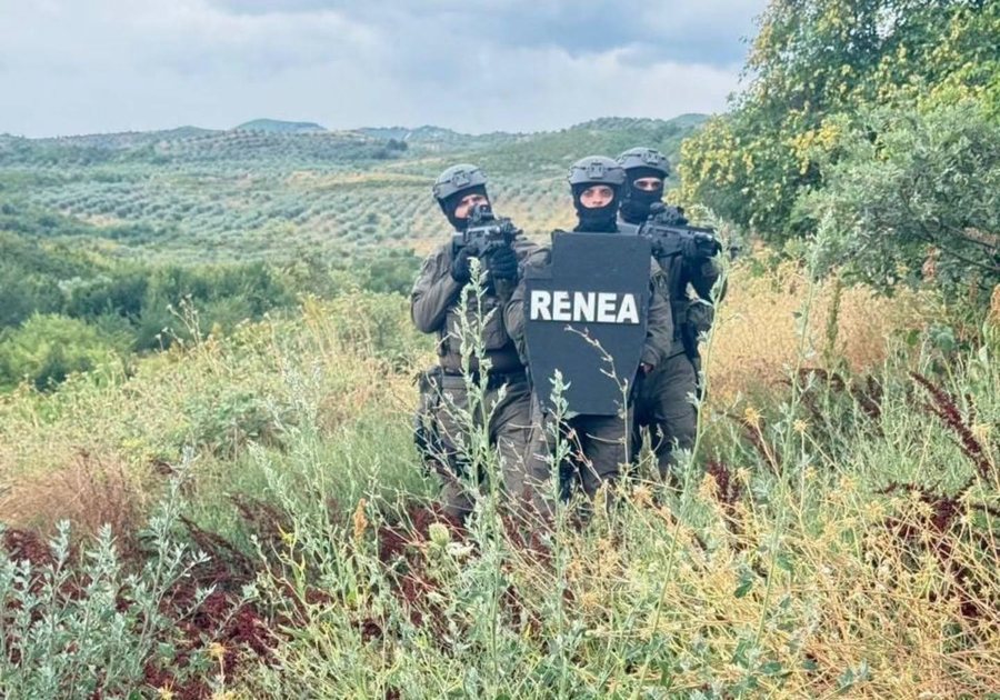 Vrau ish-vjehrrin me arm&euml; gjahu dhe mori peng p&euml;r pak or&euml;