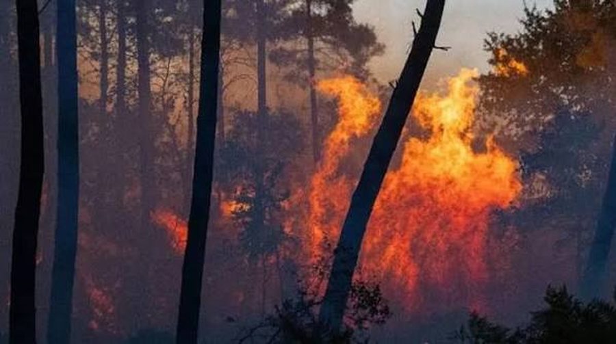 Zjarret jashtë kontrollit në Spanjë dhe Francë, shpallet
