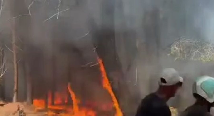 VIDEO/ Zjarr i përmasave të mëdha në Zvërnec, tymi i