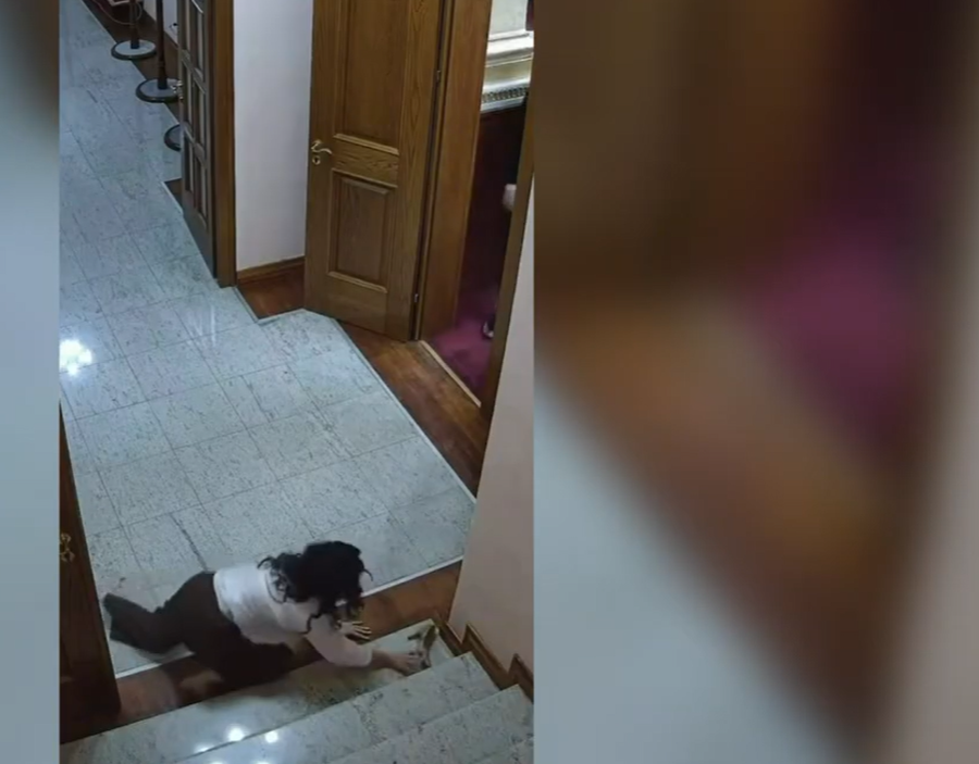 &ldquo;Ballist q&euml; hyn t&euml; vjedh&euml; n&euml; kotecin e pulave&rdquo;,