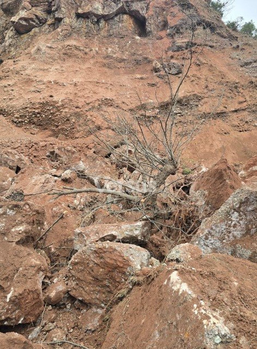 FOTOT/ Shembet masivi i shk&euml;mbinjve n&euml; rrug&euml;n