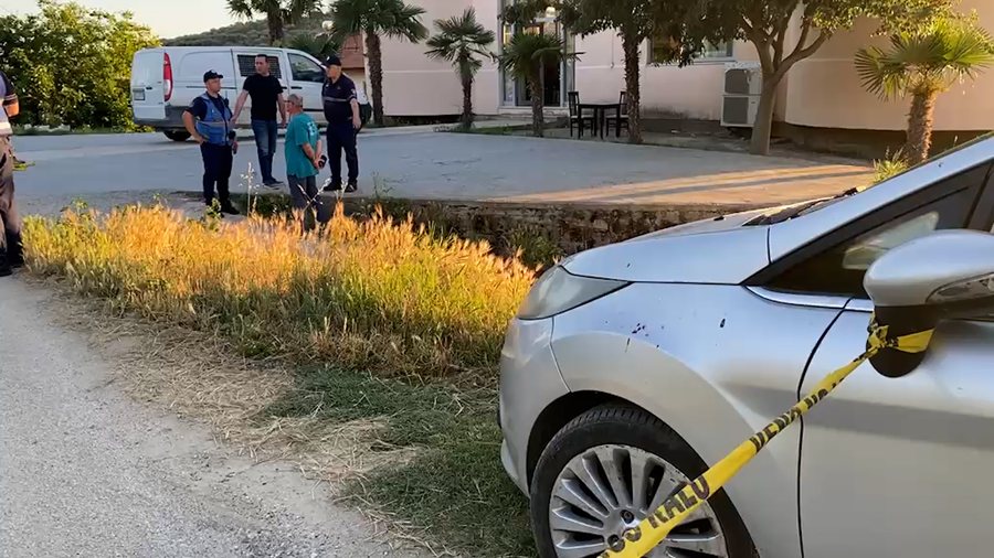 Plagosje me thik&euml; n&euml; Lushnje, 17-vje&ccedil;ari godet dy her&euml;