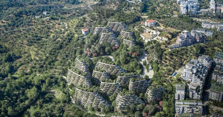 Zbulohet Projekti/  Ikin dhe kodrat me ullinj te Liqeni Thatë, Arben