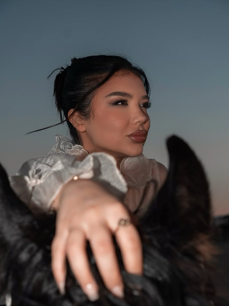 VIDEO / Alba zhduket 20 orë nga BBVK… dhe kthehet sikur s’ka