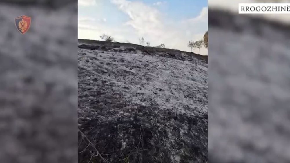 Rrogozhina, 31-year-old arrested due to fire that engulfed land and fruit trees