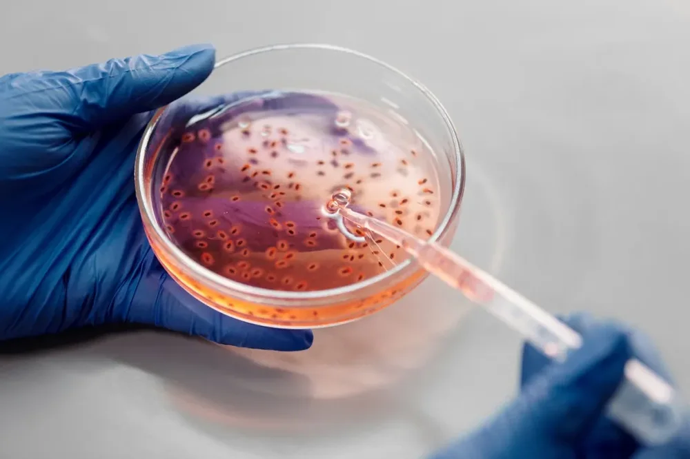 "Smart" antibiotics: Two new drugs, success in laboratory tests