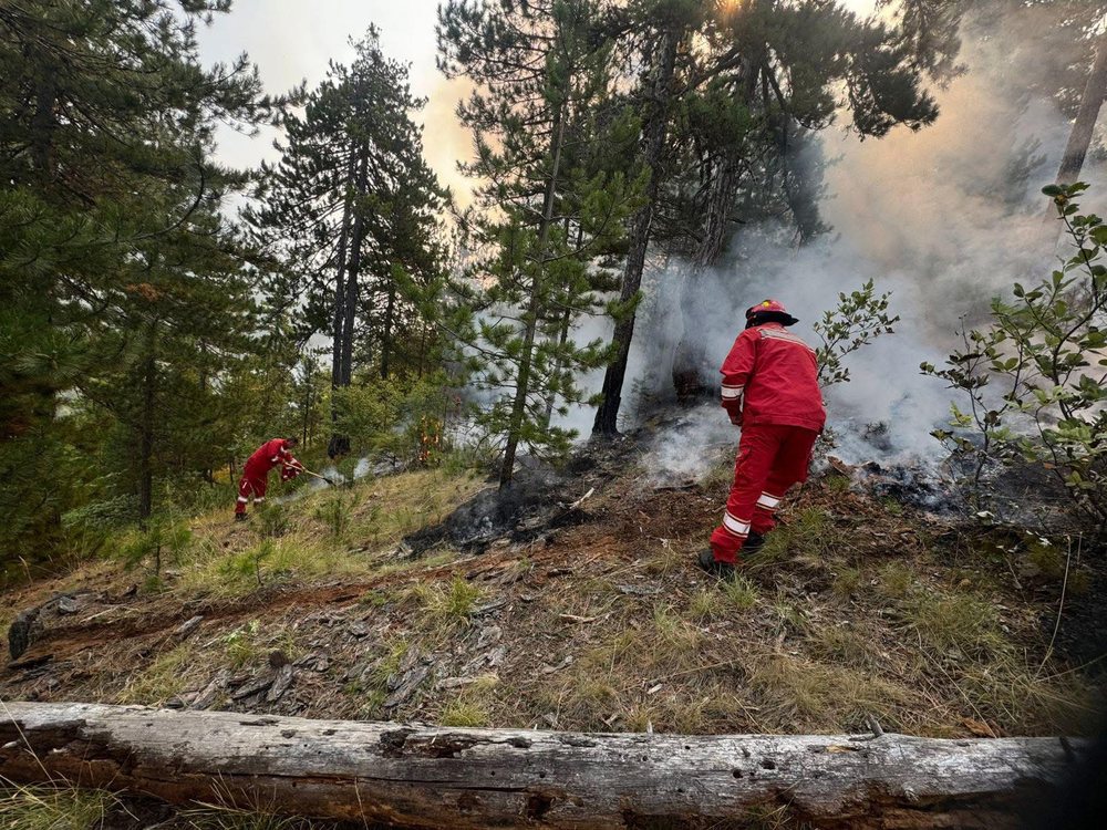 Fire situation in the country: 23 fires in the last 24 hours, flames still