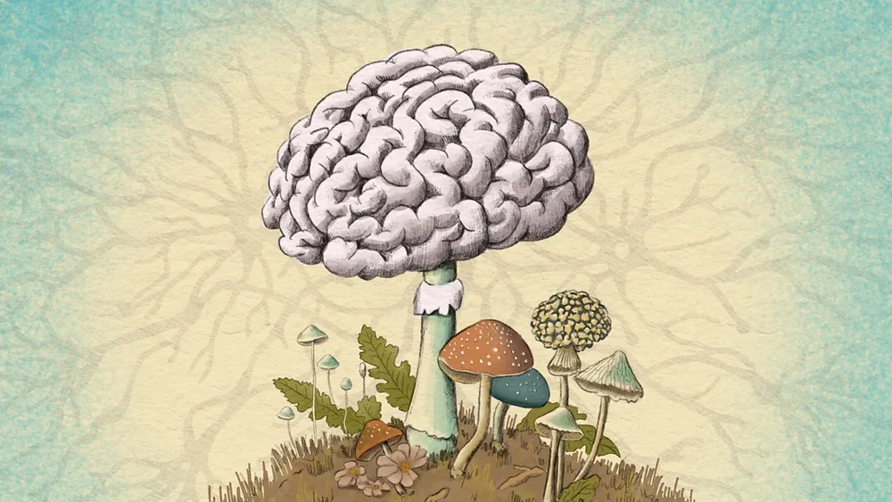 Can fungi affect our brains? Scientists are discovering new links between mold
