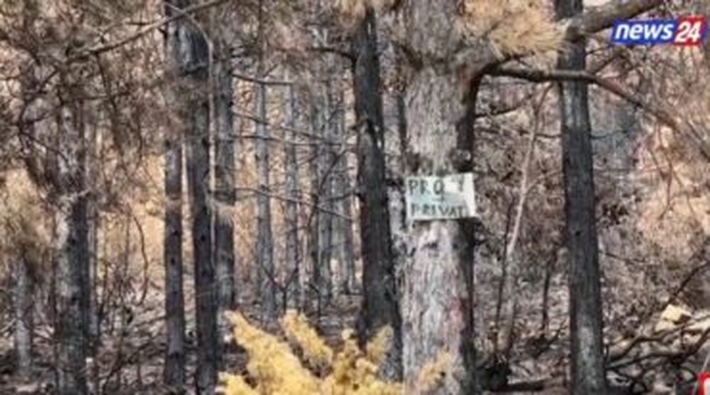 In the forest that was burned by fire near Arbri Street, a sign with the
