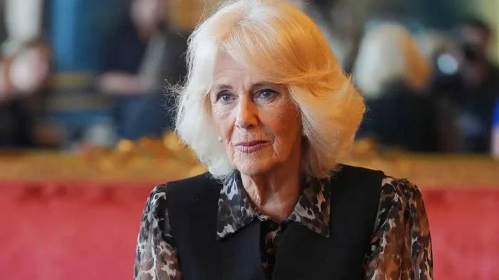Zbulim tronditës nga një libër i ri: Mbretëresha Camilla ka
