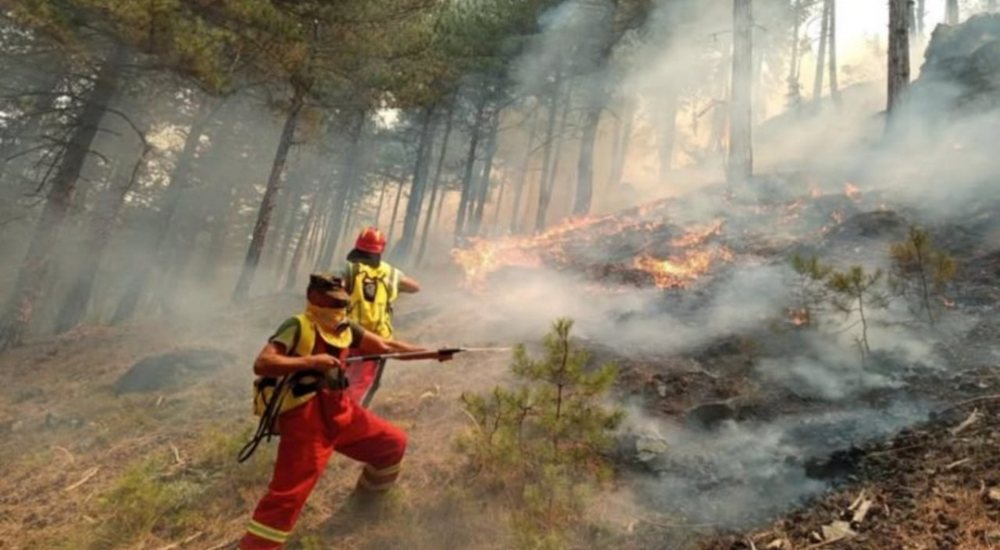 Bilanci i dëmeve nga zjarri në Skënderbegas: 68 banesa të