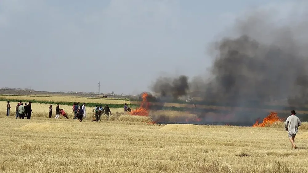 OKB: Pothuajse e gjithë toka bujqësore në Gaza është