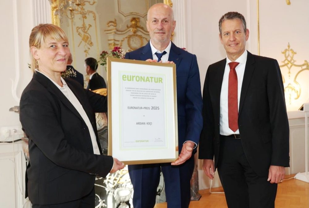 In Albania, they fired him, Germany honors the former director with an integrity