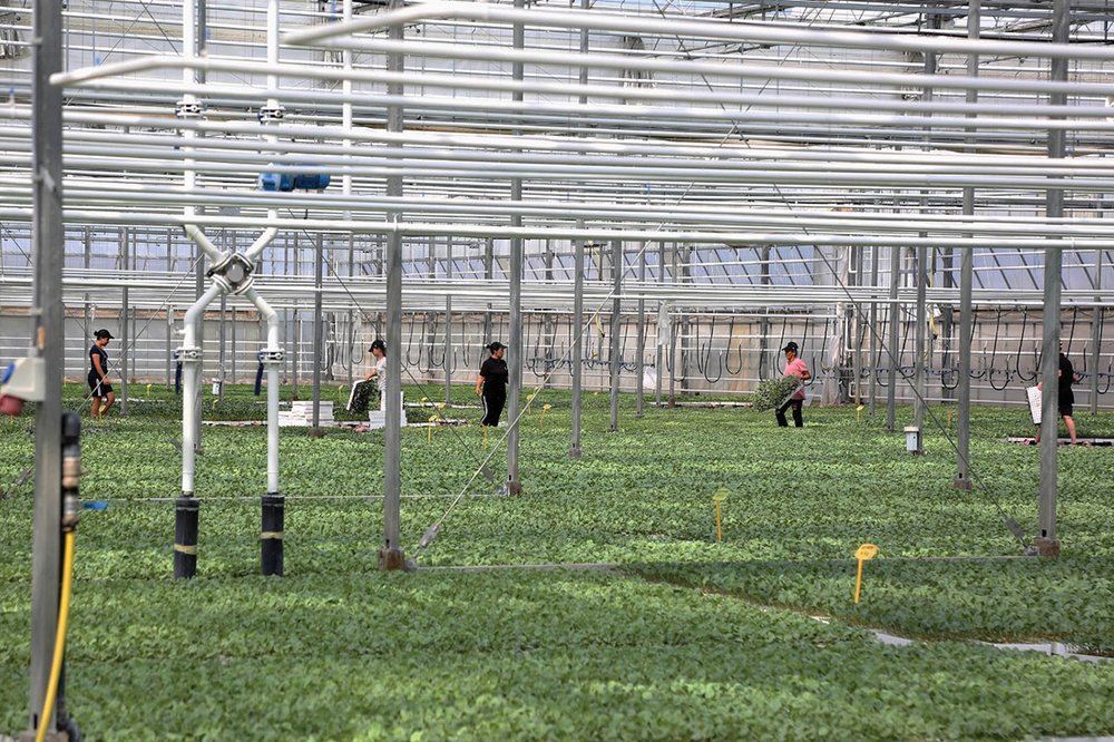 The "blockage" of agriculture and Albania's big test for European