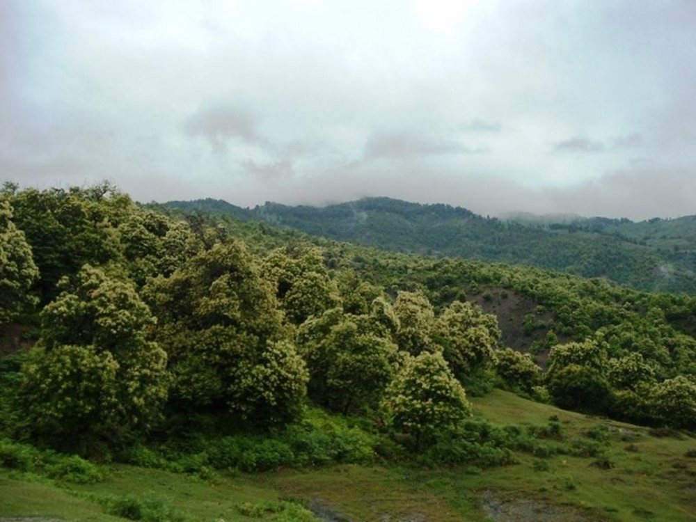 He was picking chestnuts with his mother, the 26-year-old disappears in the