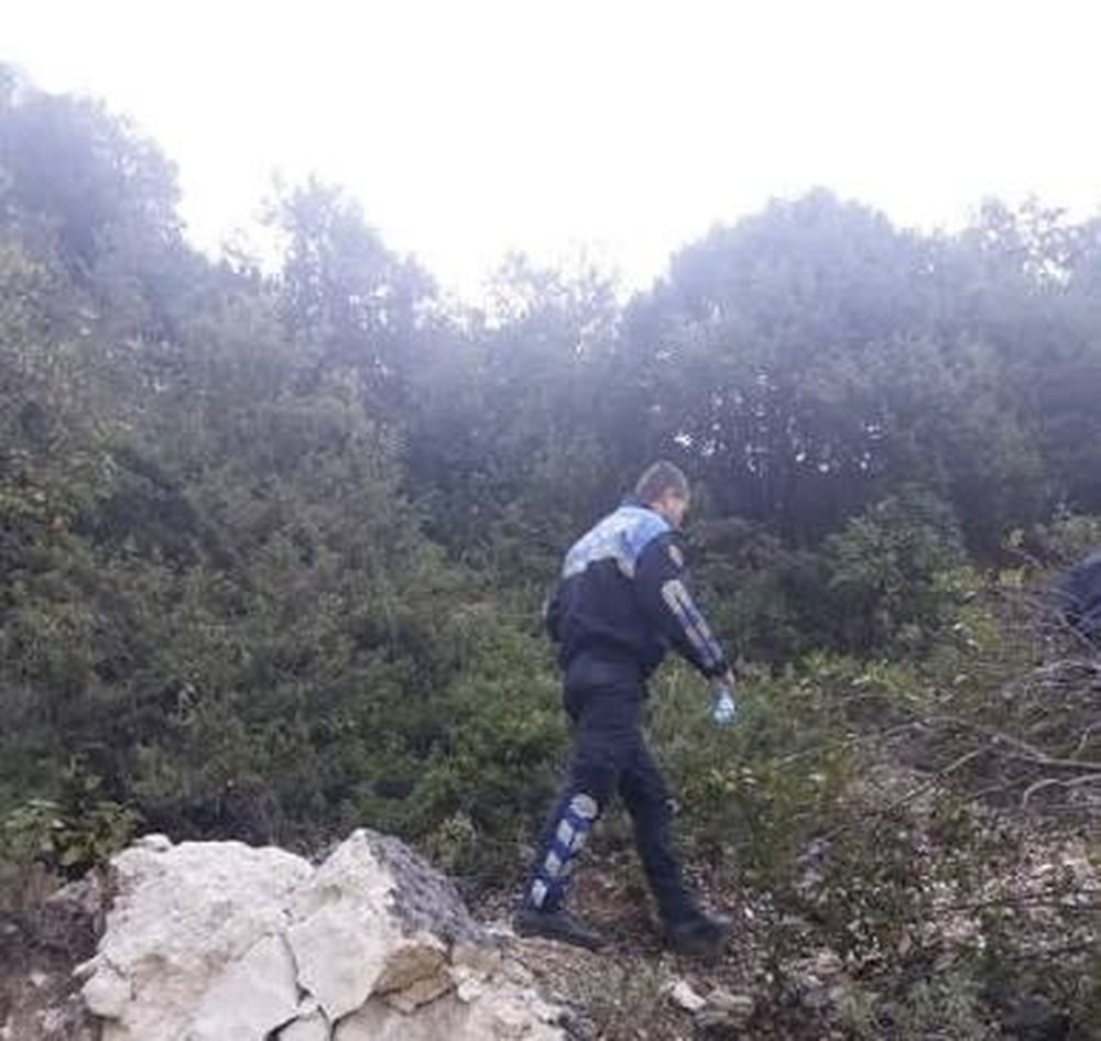 Dy turistë suedezë, nënë e bir humbin në Llogara, nis