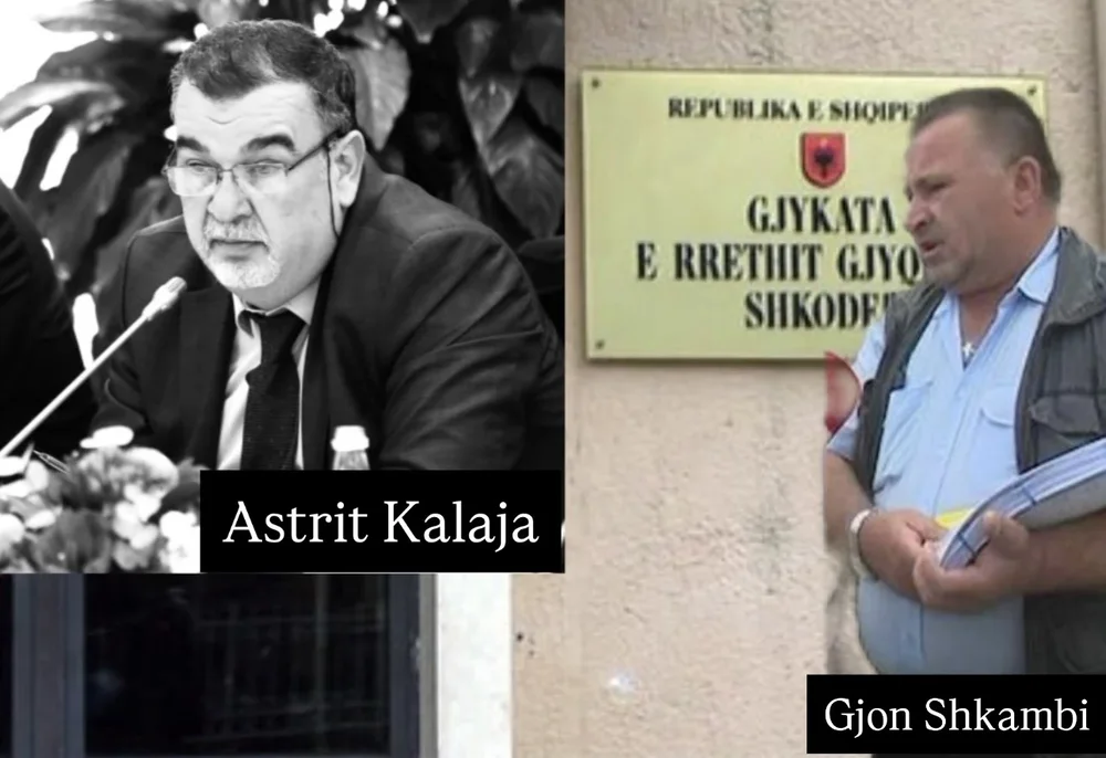 Gjon Shkambi's testimony at the Court of Appeals: I didn't know Elvis