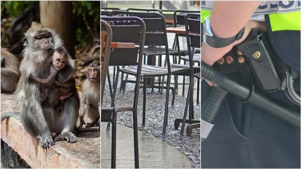 Shumë ngjarje të pazakonta dhe të çuditshme në