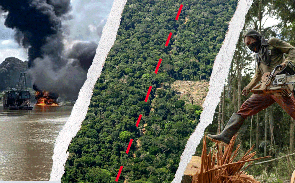 &ldquo;Kokain&euml;, ar dhe mish&rdquo;, si Amazona e Kolumbis&euml; u kthye