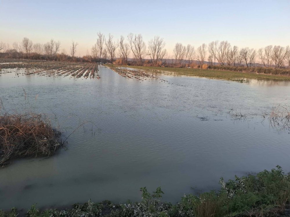 Shkarkimet nga digat dhe kanalet e bllokuara, rritet sip&euml;rfaqja e serrave
