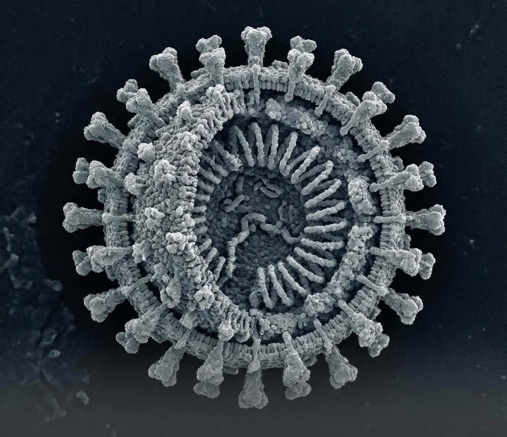 Inteligjenca Artificiale po krijon viruse nga e para/ Frik&euml; p&euml;r