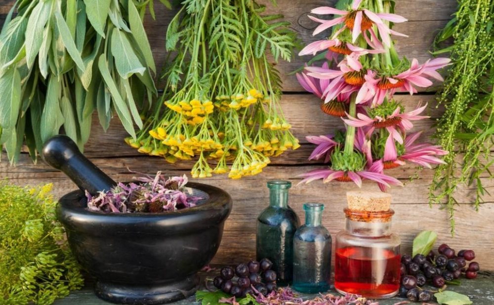 Rikthehet optimizmi p&euml;r tregun e bim&euml;ve mjek&euml;sore