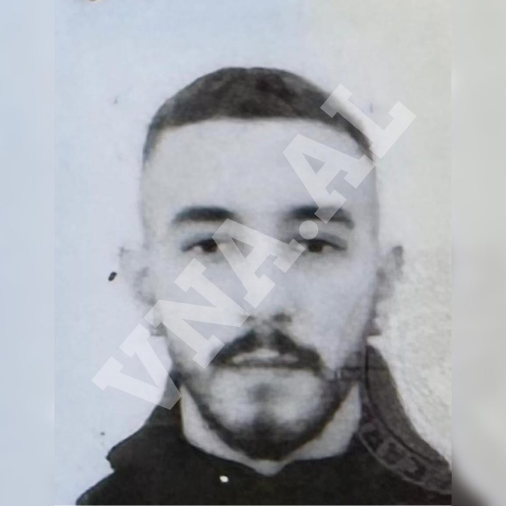 Trafiku i arm&euml;ve, ja kush &euml;sht&euml; kosovari i dyshuar