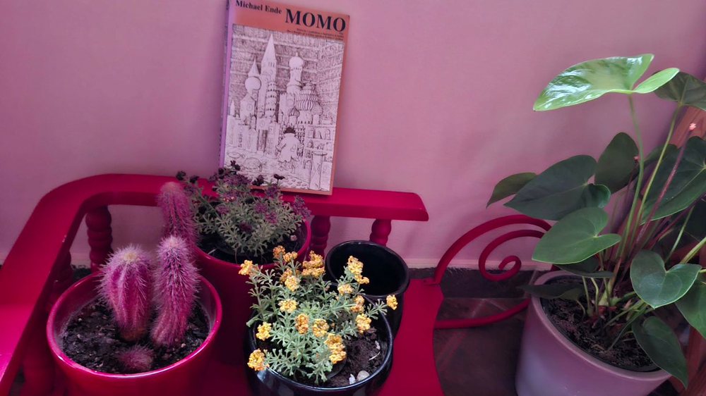 Hap&euml;sira mes &ldquo;tani&rdquo; dhe &ldquo;kurr&euml;&rdquo;