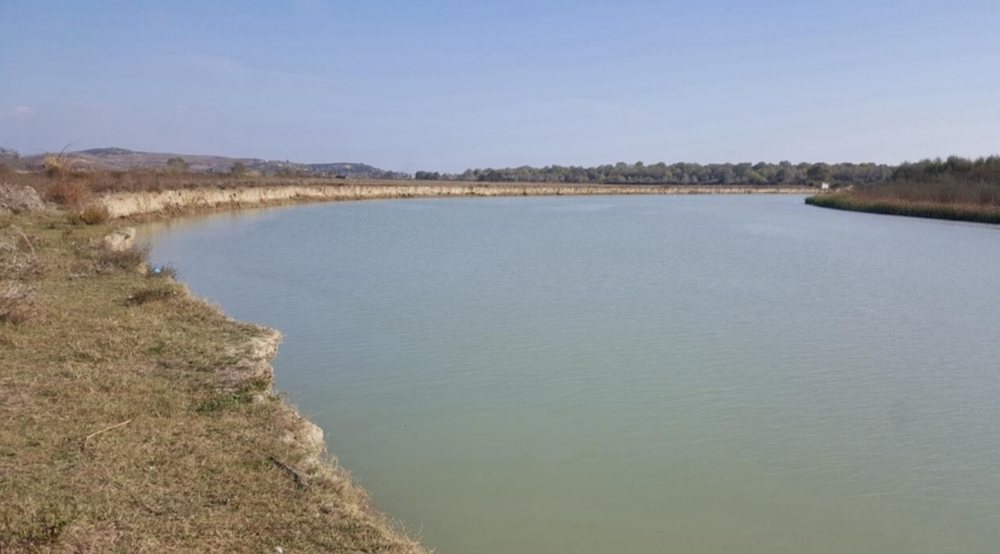 Ambientalist&euml;t k&euml;rkojn&euml; masa urgjente p&euml;r nd&euml;rhyrjet