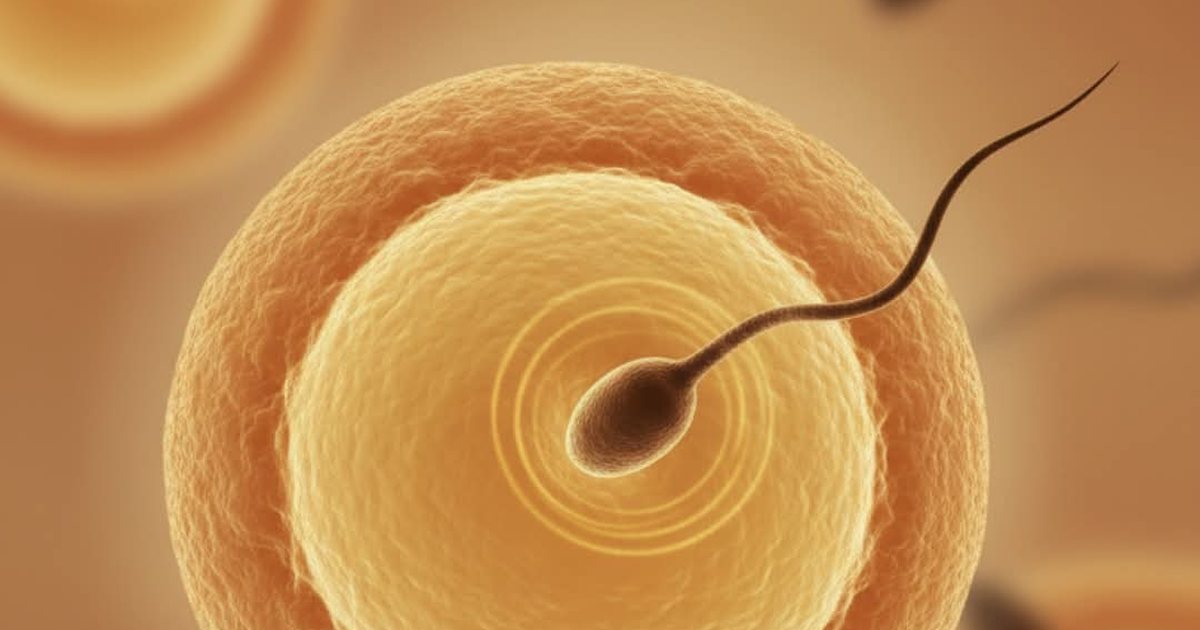 mikroplastika-tek-meshkujt-rrezik-per-femije-diabetike