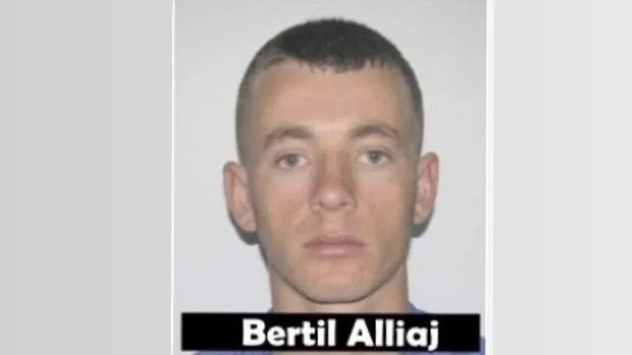 Dëshmia e Bertil Alliaj që vrau kushëririn e tij në