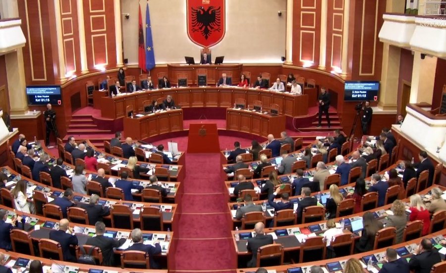 Rikthehet paqja: PS dhe PD bashkojnë votat për Iliriana Nanon dhe