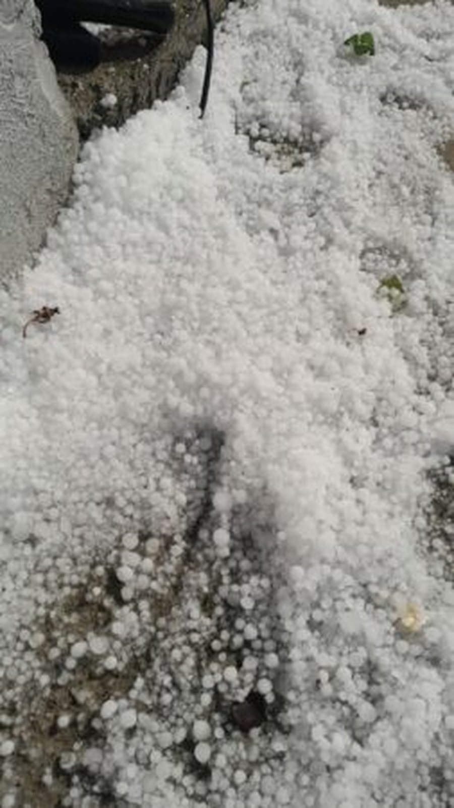 Stuhi dhe breshër përfshijnë qarkun e Elbasanit