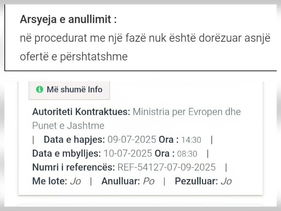Ministria e Jashtme hap tendera për bileta udhëtimi, i anulon